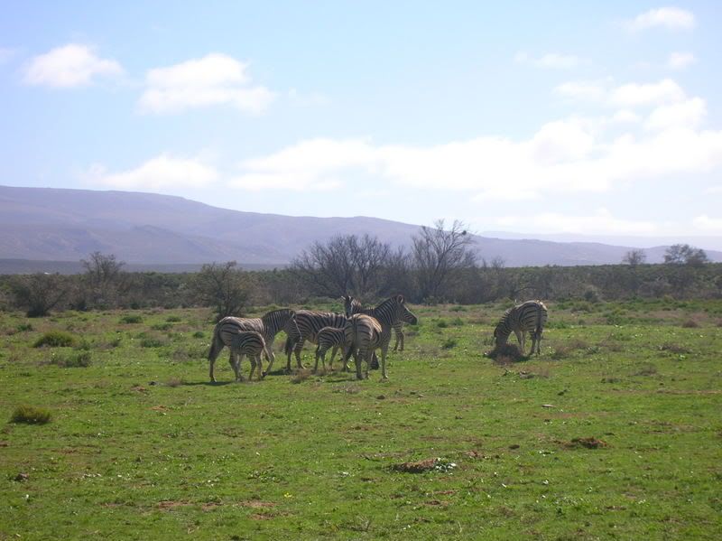 DSCN5076.jpg
