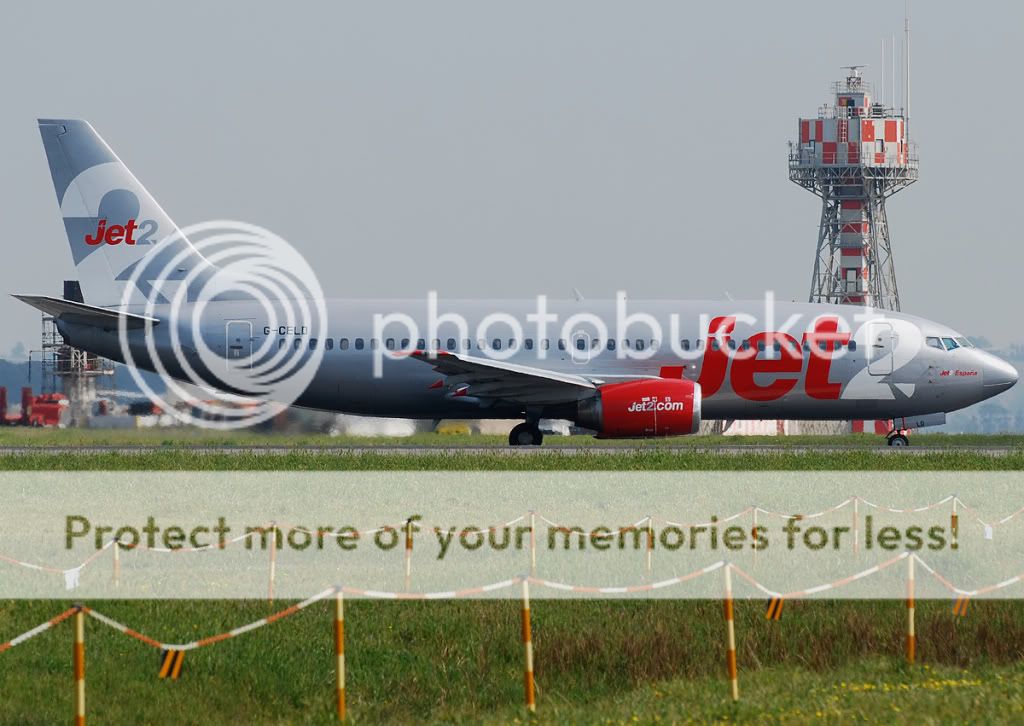G-CELD.jpg