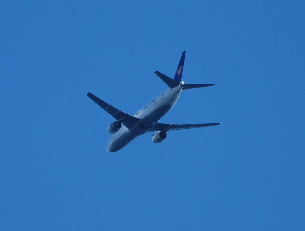 DSC_3009.jpg