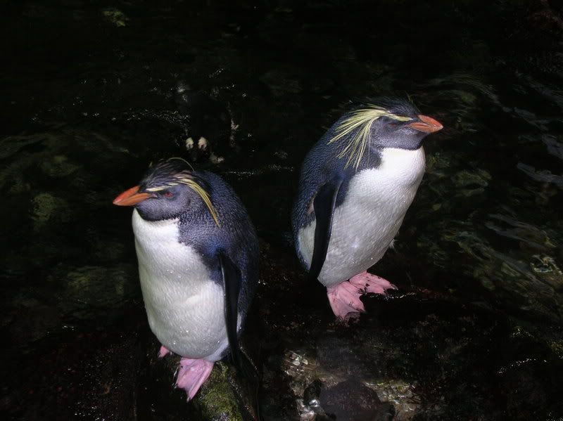 DSCN4451.jpg