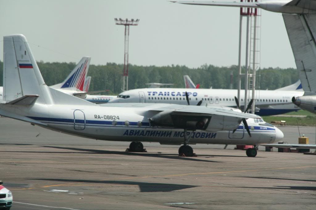 mosca89.jpg