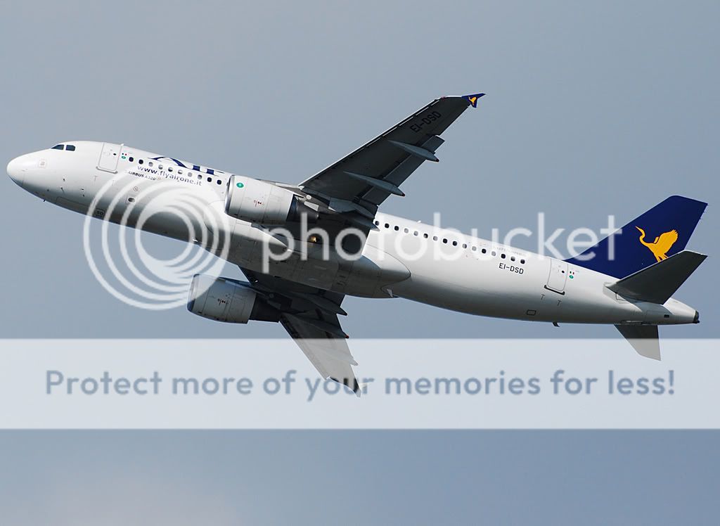 EI-DSD2.jpg