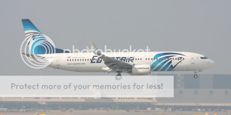egi.jpg