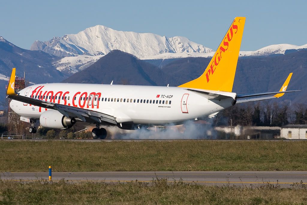 TC-ACPa.jpg