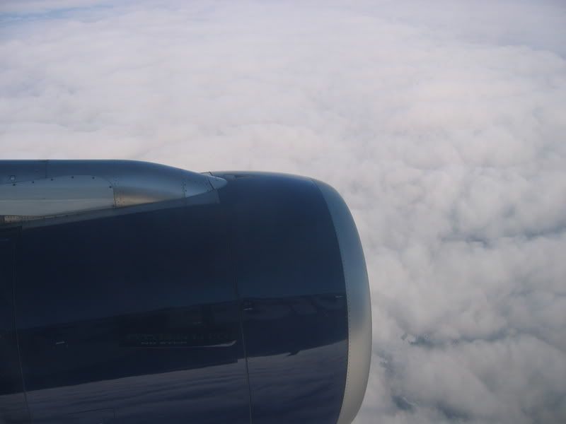 fin017.jpg