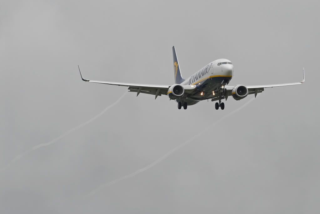 DSC_4929.jpg