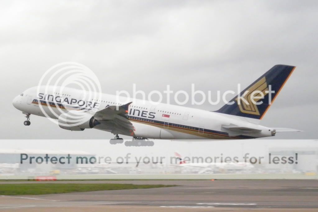 PA280207.jpg