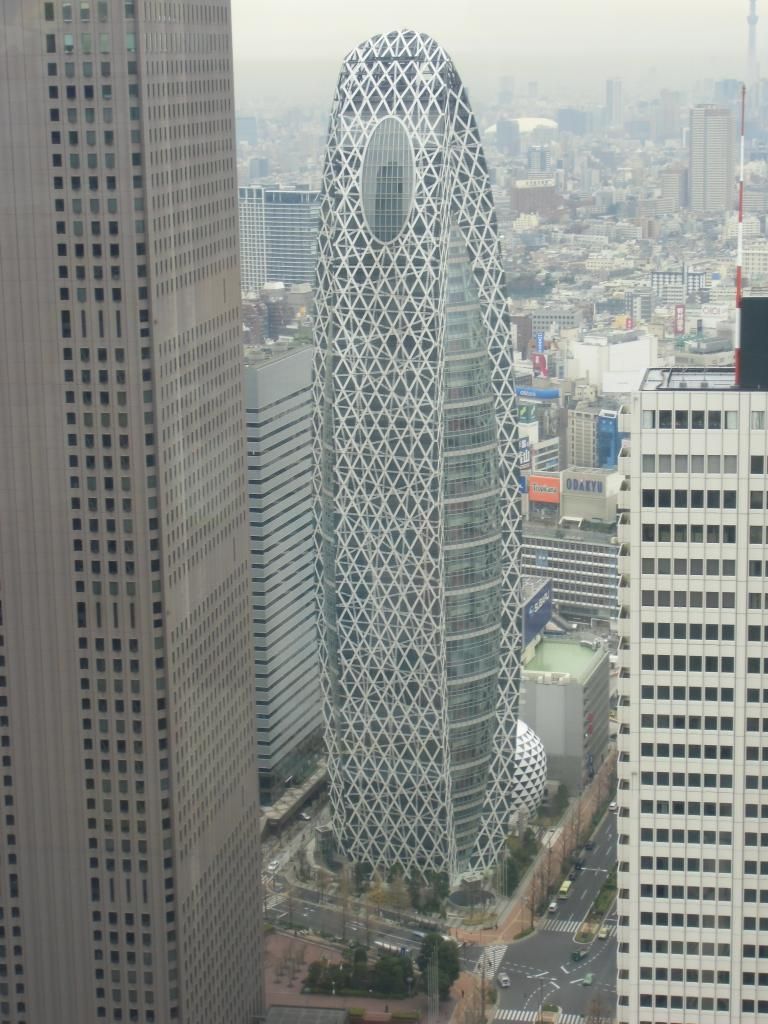 CIMG0942_zps332f2691.jpg