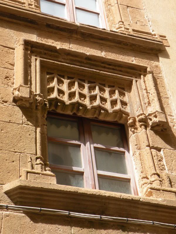 DSCN8310.jpg