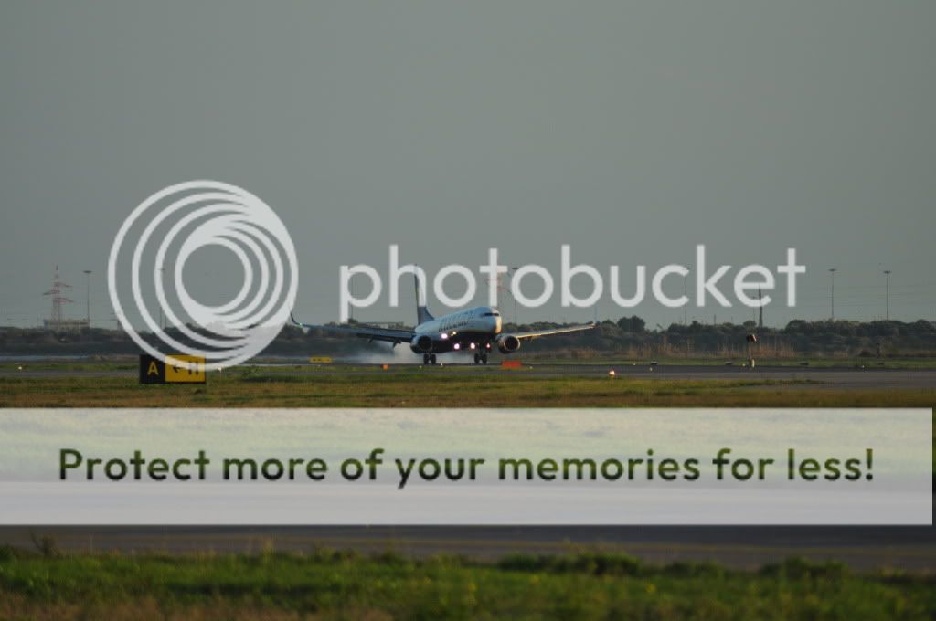 DSC_0686.jpg