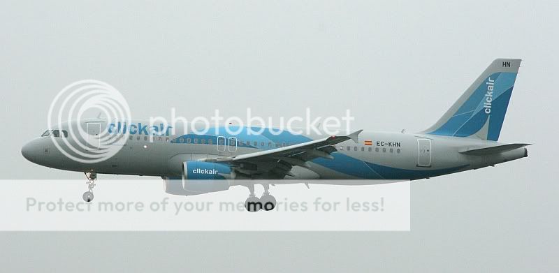 IMG_9560.jpg