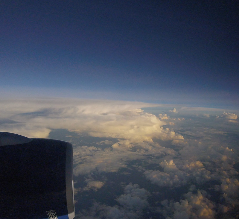 29492211872_45458760d9_c.jpg