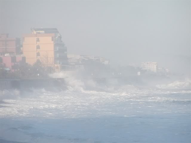 mar3.jpg