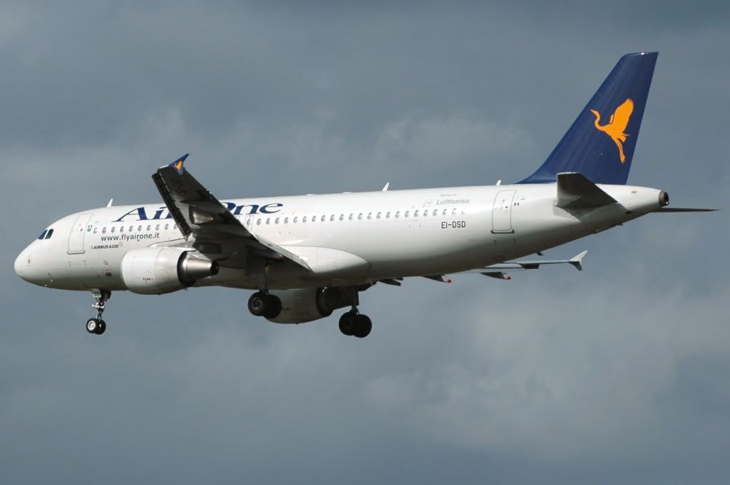 ap_320_1.jpg