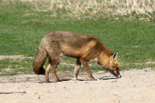 4525681208_4dbf6486e0.jpg