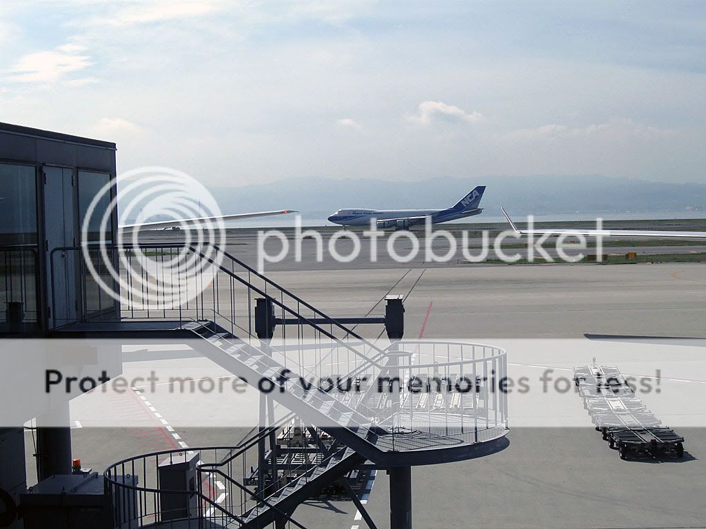 IMG_0383.jpg