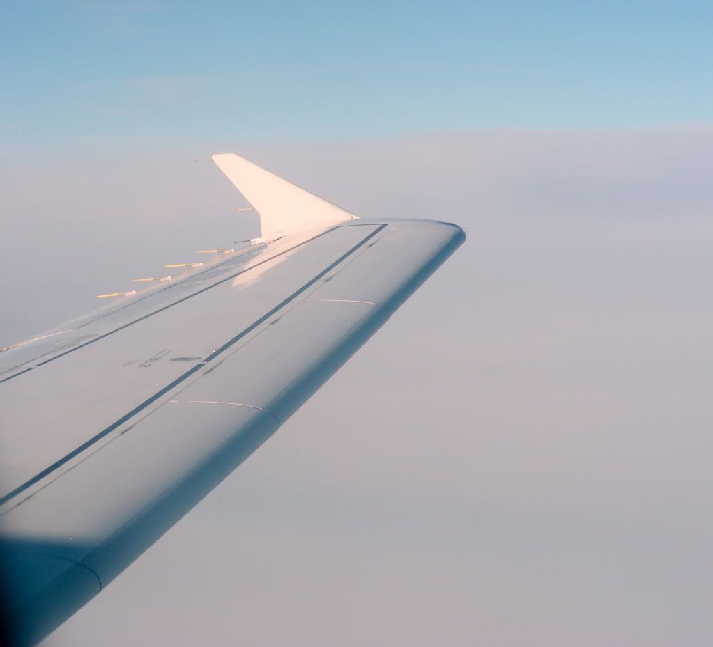 DSCN8253.jpg