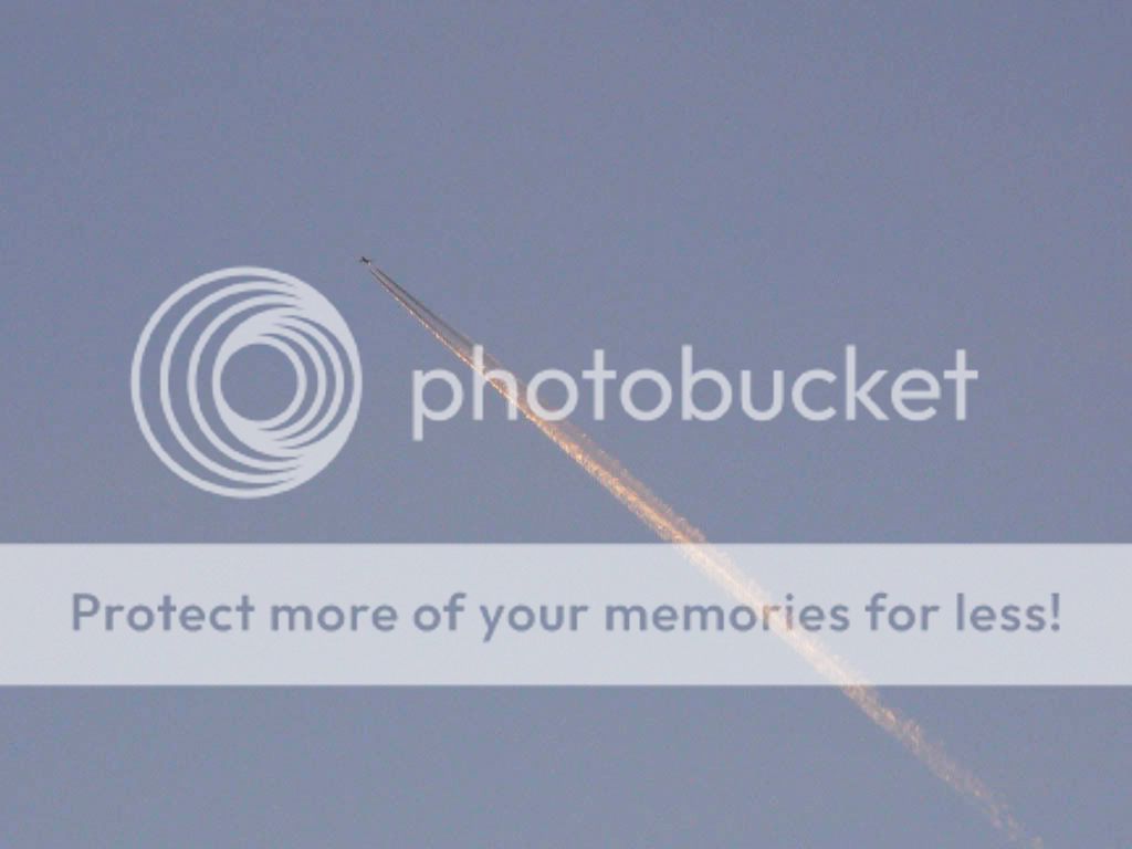 MD11SelvaSpotit-6.jpg
