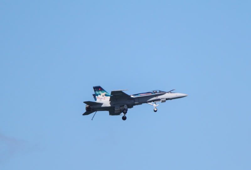 IMG_6415.jpg