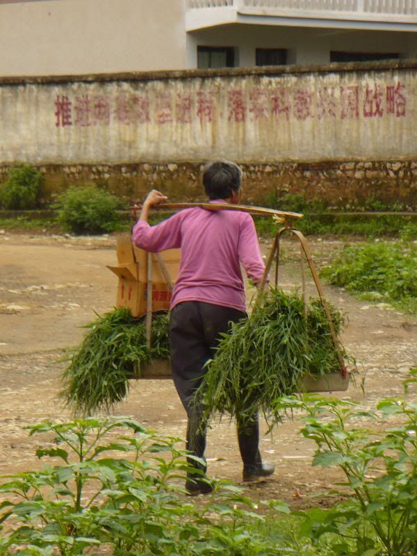 P1000791.jpg