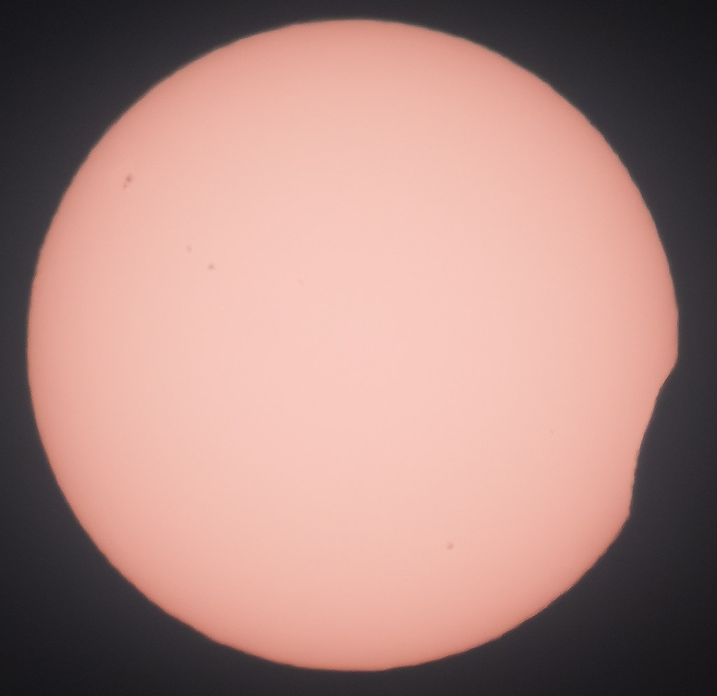 55466309612_a530d4f5d5_b.jpg