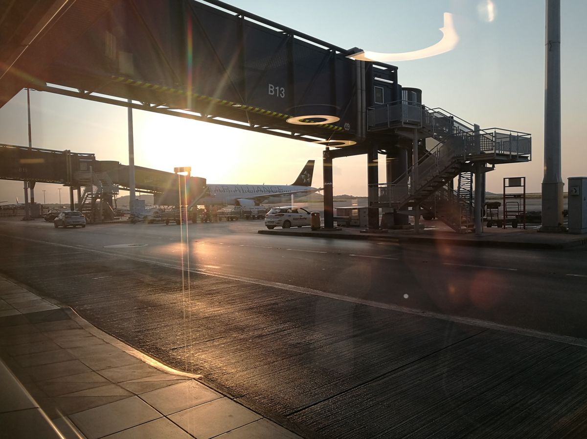 smi2019_0105.jpg