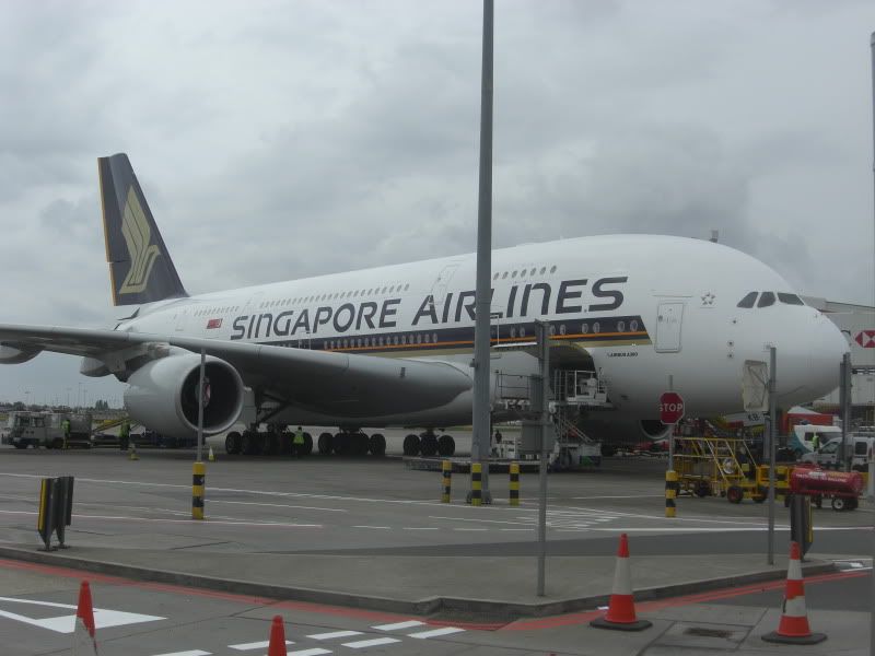 CIMG7290.jpg