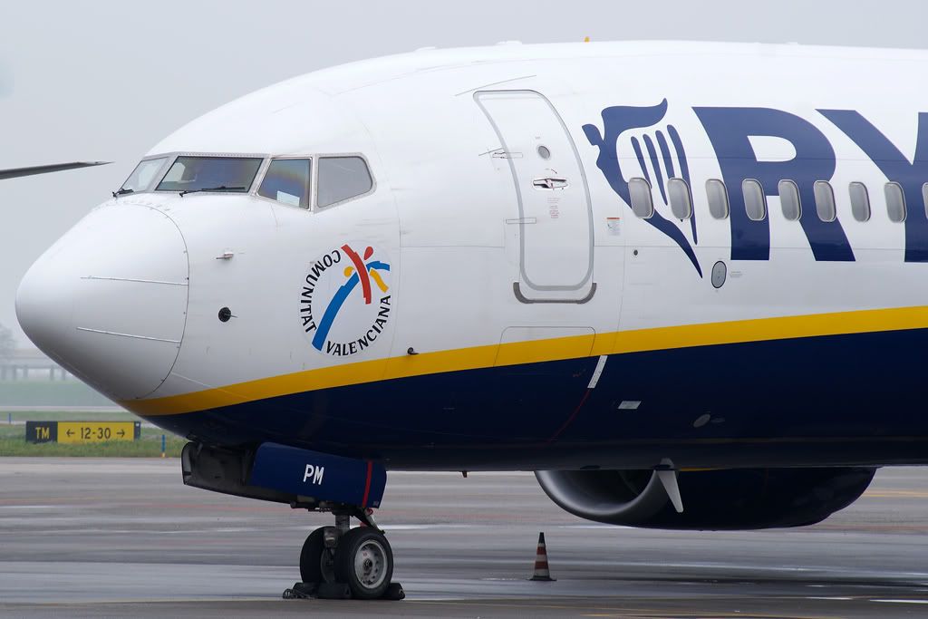 Boeing-737-800-Ryanair-sticker.jpg