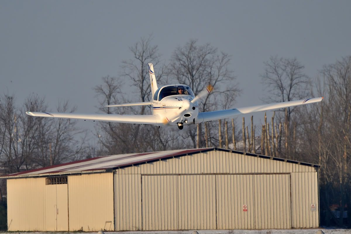 DSC_025026.jpg