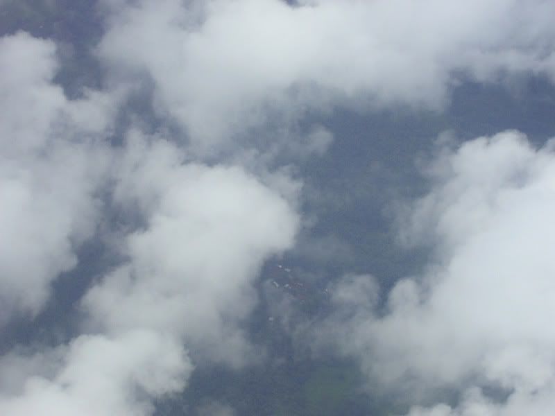 IMGP0953.jpg