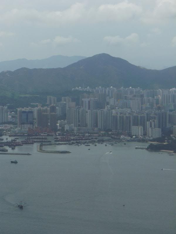 P1000320.jpg