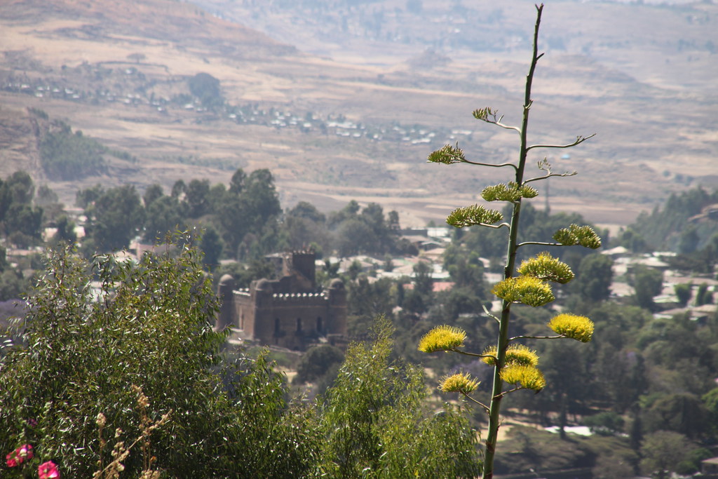 15231950474_f804ca27b0_b.jpg