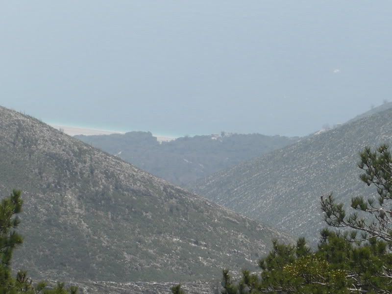 CIMG8161.jpg