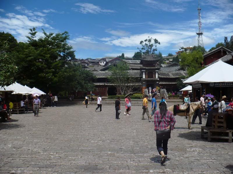 P1010017.jpg
