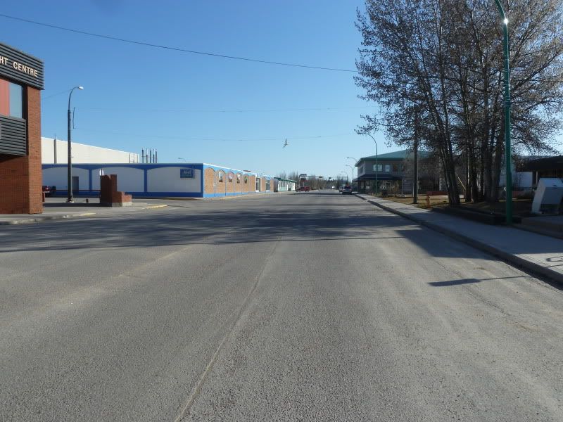 P1170175.jpg