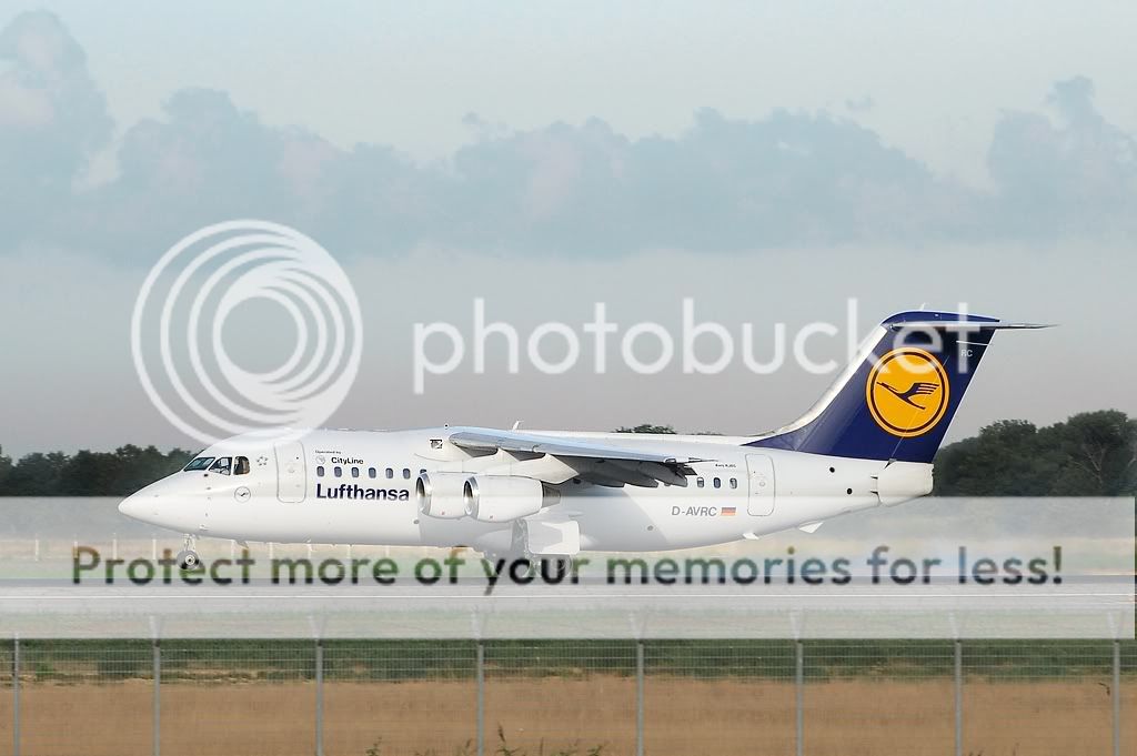 _D205098.jpg