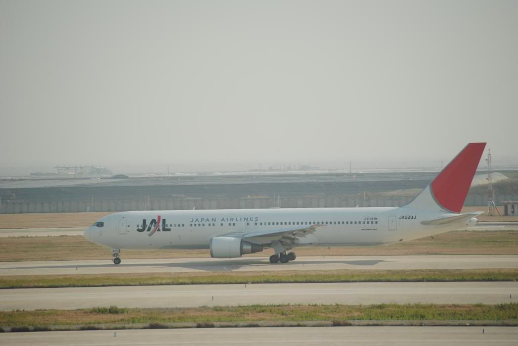 DSC_0214.jpg