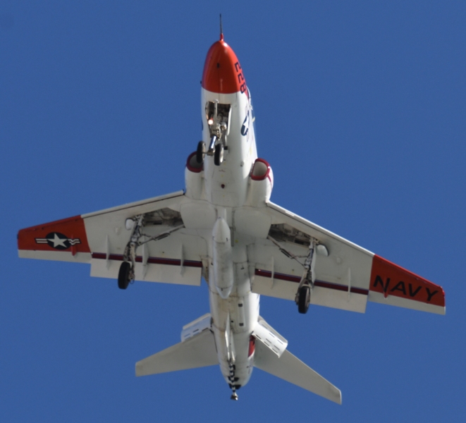 52008781891_707e306f53_o.jpg