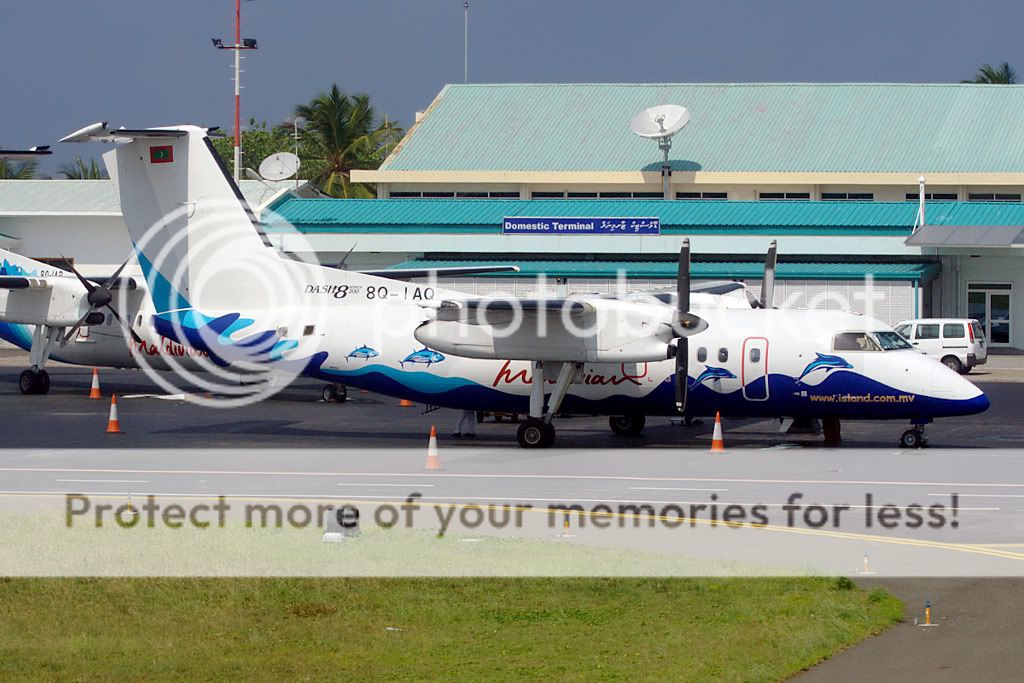 8Q-IAQMle170310.jpg