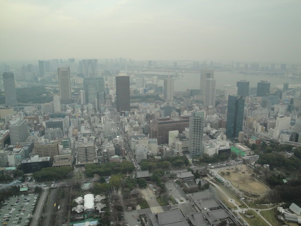DSC01780.jpg