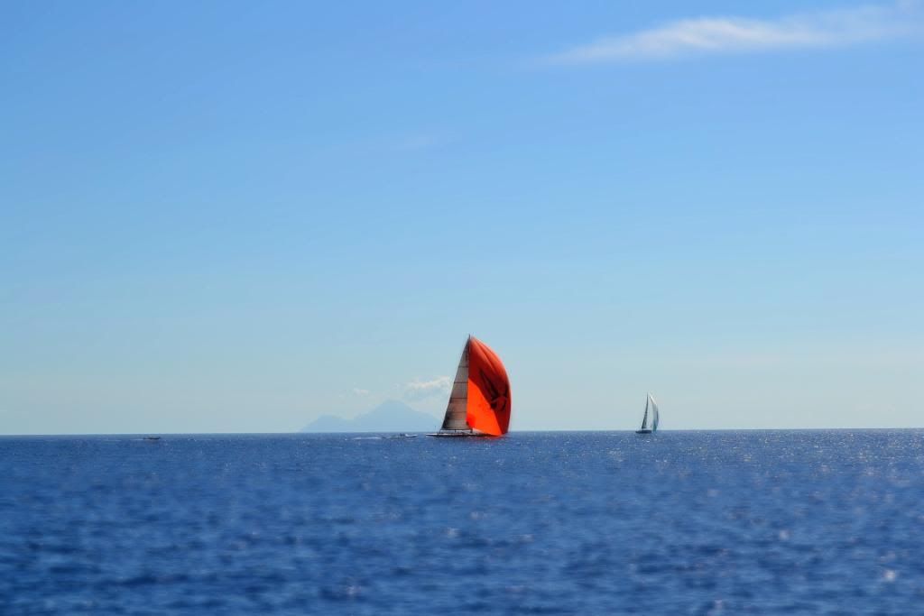 DSC_0223.jpg