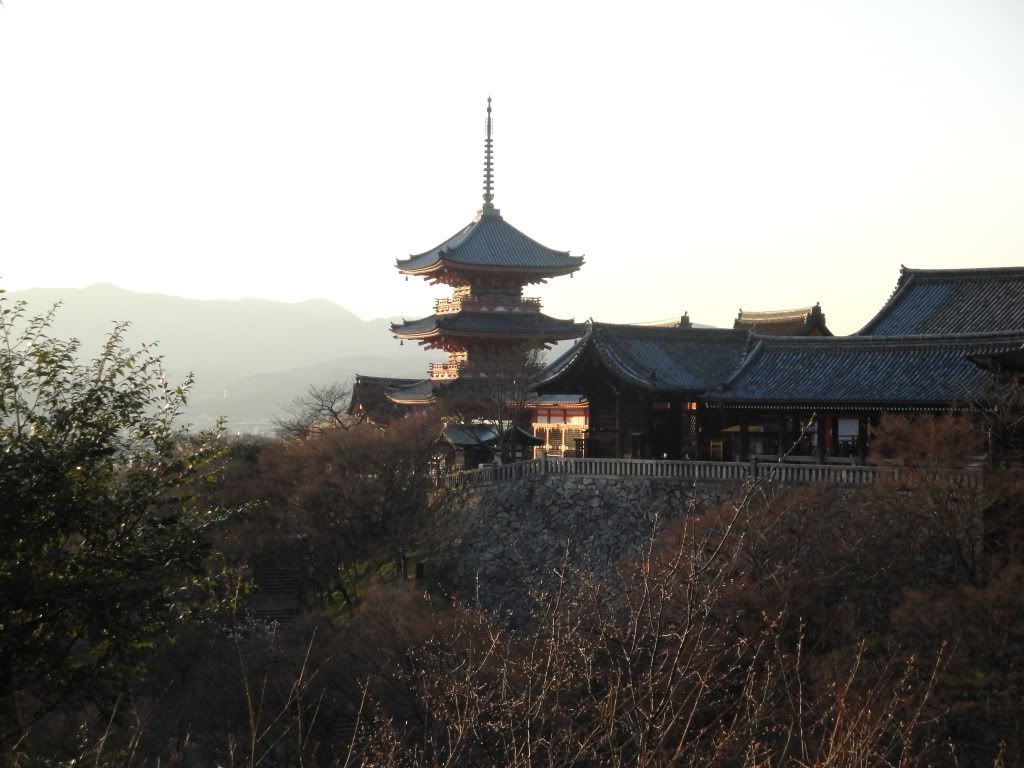 DSC01618.jpg