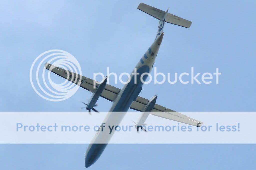 G-JEDO.jpg