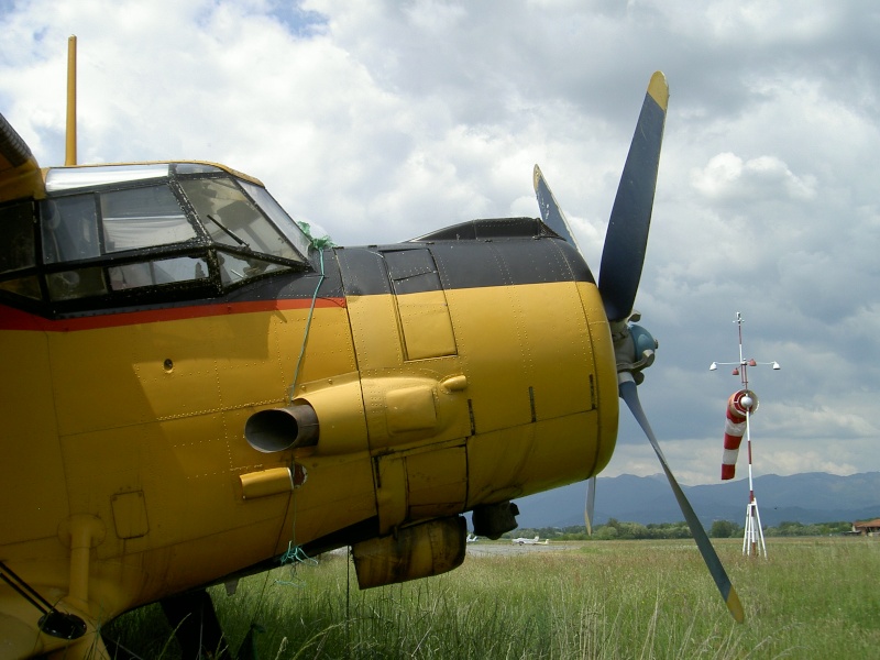 pict7714.jpg