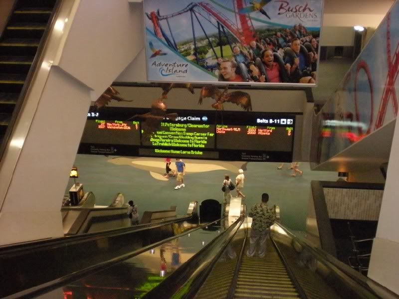 DSCN5238.jpg