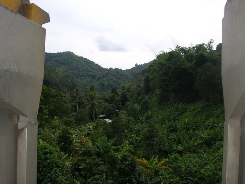 IMGP0764.jpg