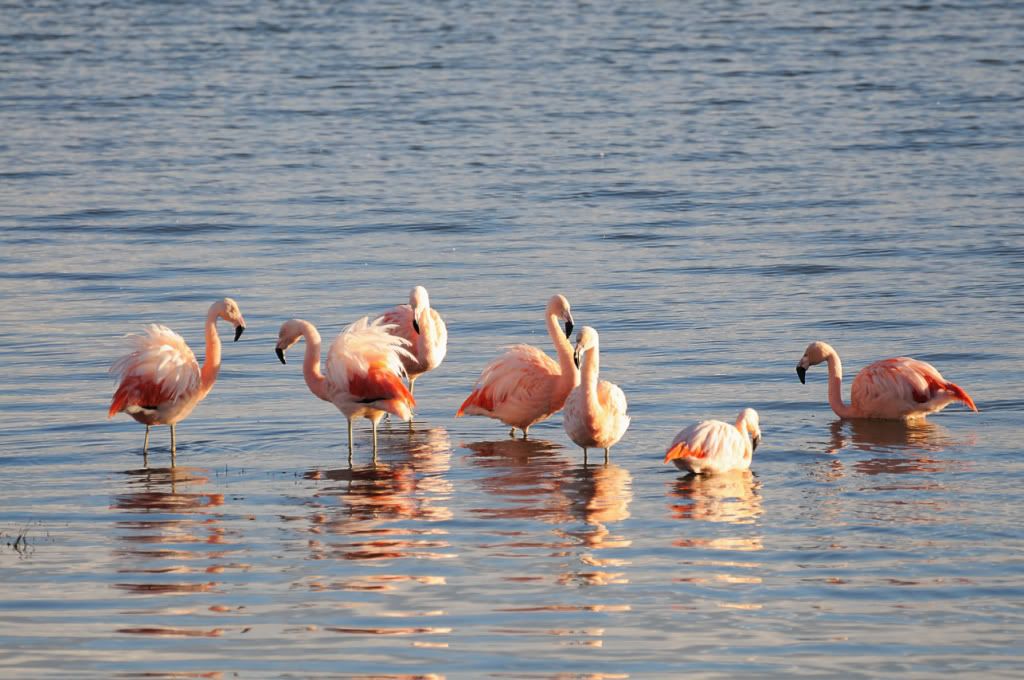 DSC_4099.jpg