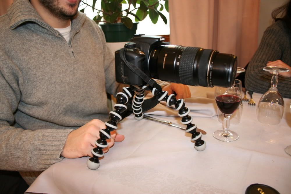 ragno.jpg