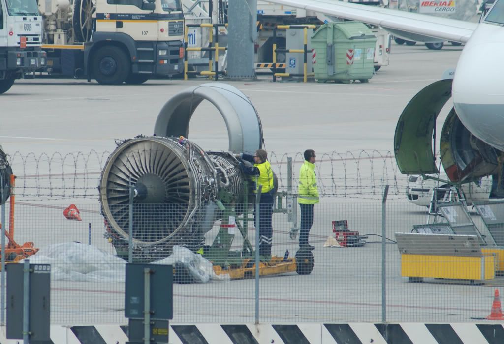 D-AILK1.jpg