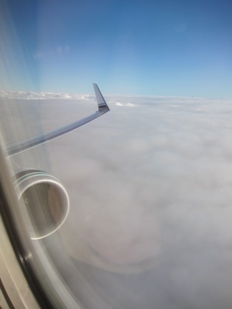 IMG_5415.jpg